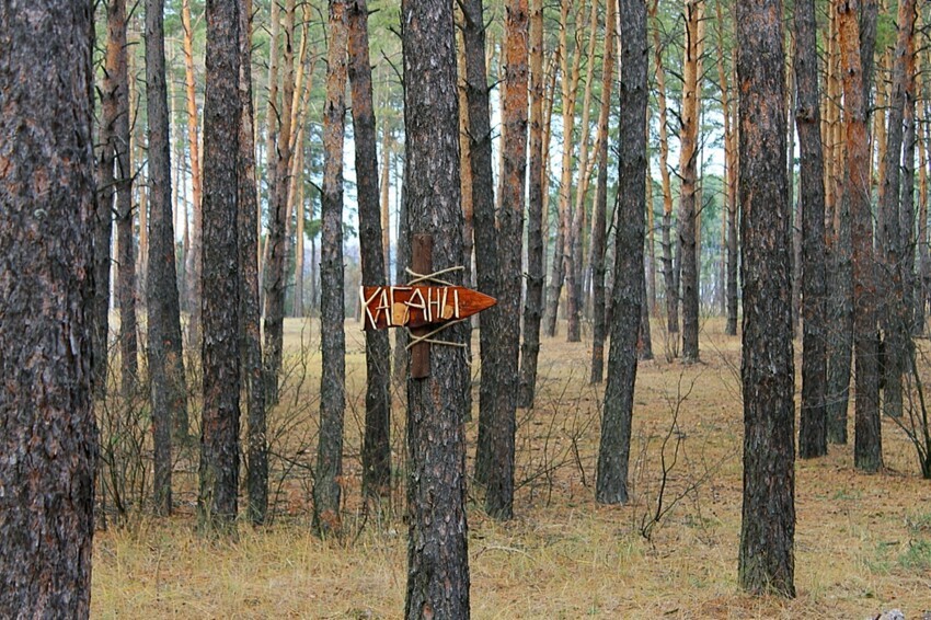 Червленный Яр