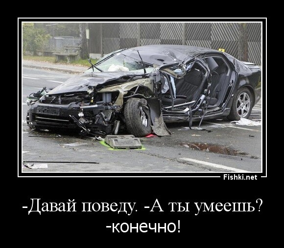 Давай поведу. -А ты умеешь?
