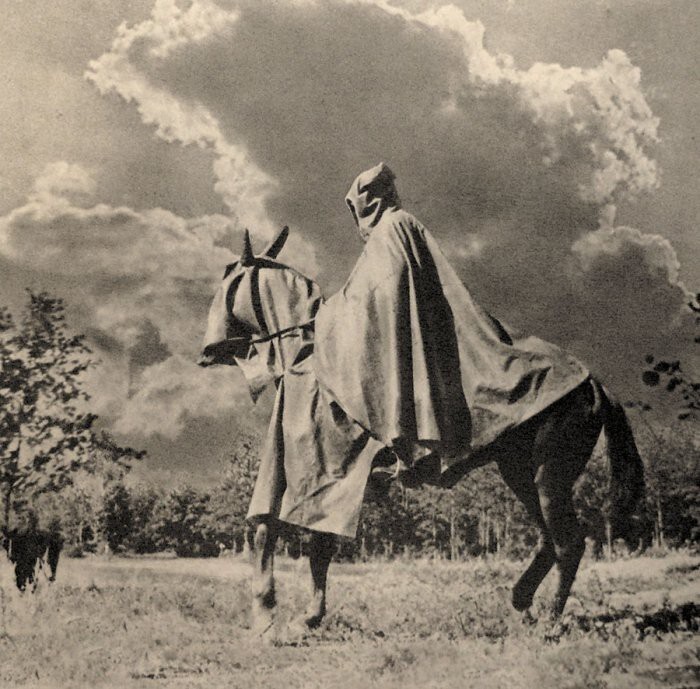 Кавалерист Рабоче-крестьянской Красной армии в костюме для защиты от химического оружия. 1934 год.