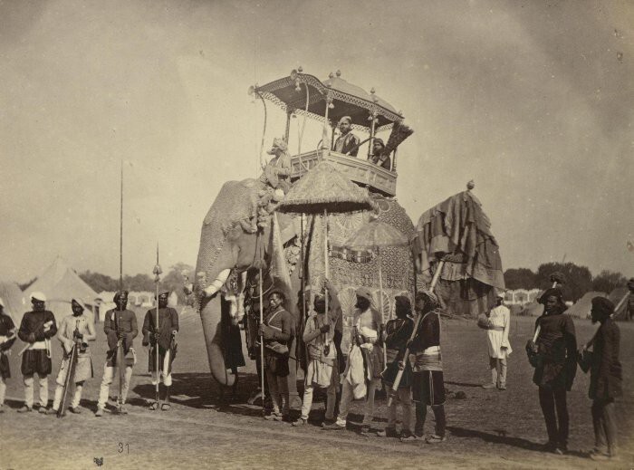 Махараджа Орчха Пратап Сингх на слоне. Британская империя, Индия. 1875 год.