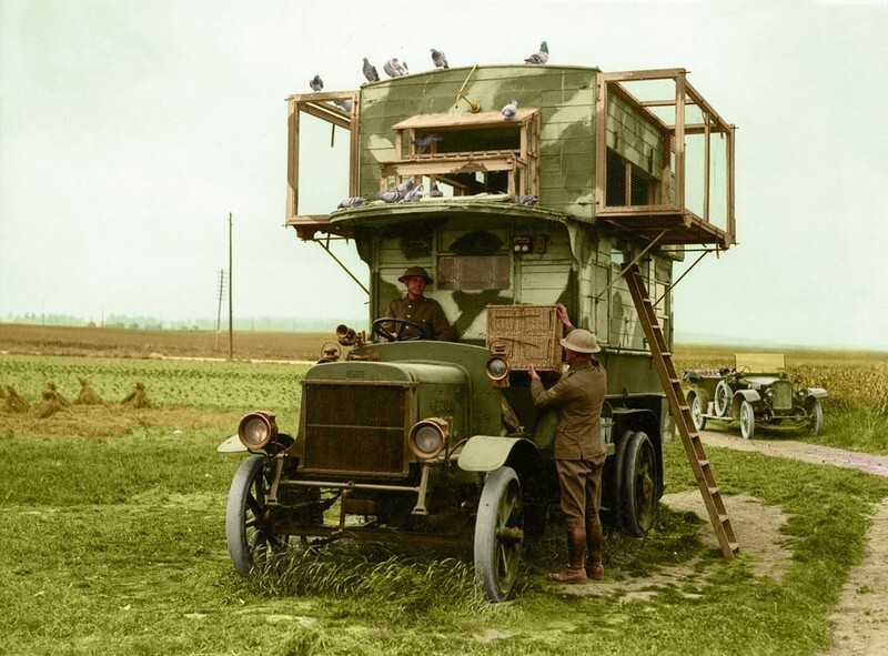 1. Мобильный пункт голубиной связи во время Первой мировой войны