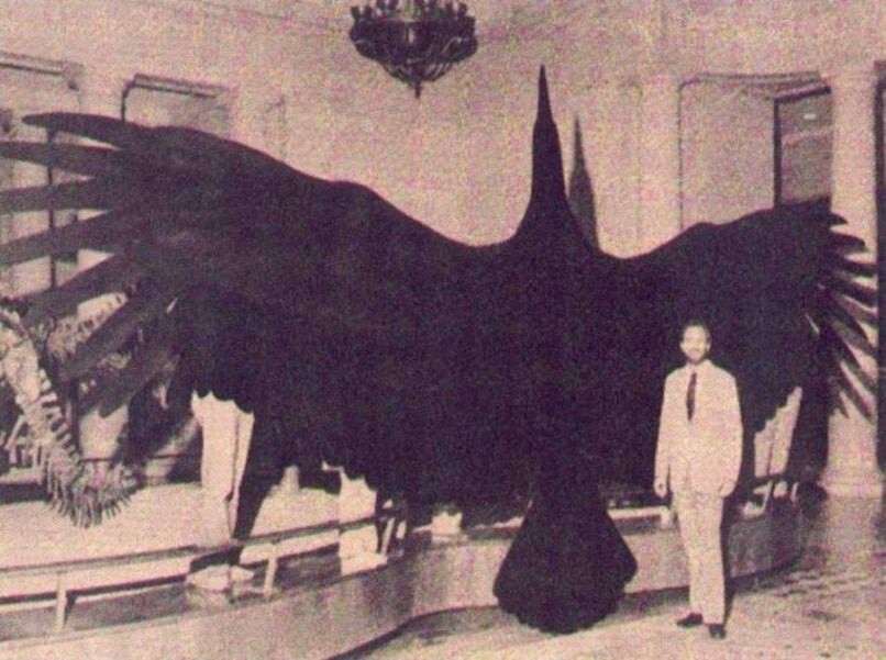 4. Аргентавис (Argentavis magnificens) — до 2014 года самая крупная летающая птица из известных науке. Населял Аргентину 6 млн. лет назад