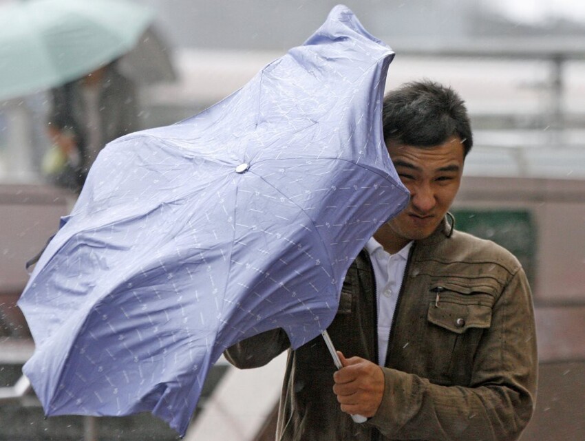 Люди, преданные зонтиками