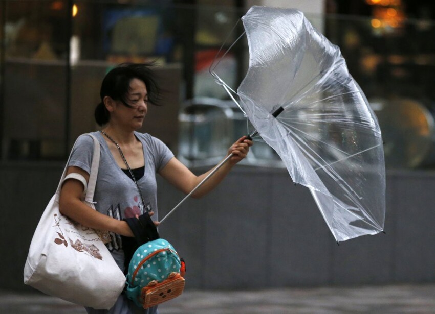 Люди, преданные зонтиками