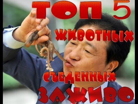 ТОП 5 съеденных заживо животных 