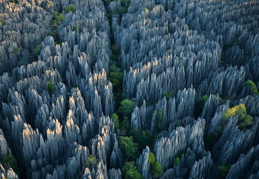 11. Каменный лес на Мадагаскаре.