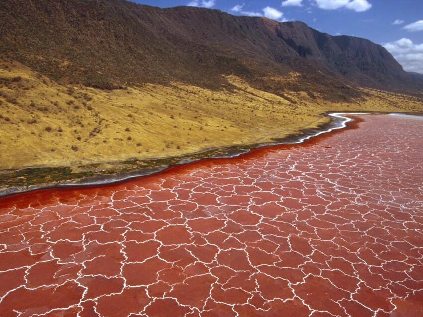 15. Озеро Натрон, Танзания — самое горячее озеро в мире, температура воды 50 градусов.
