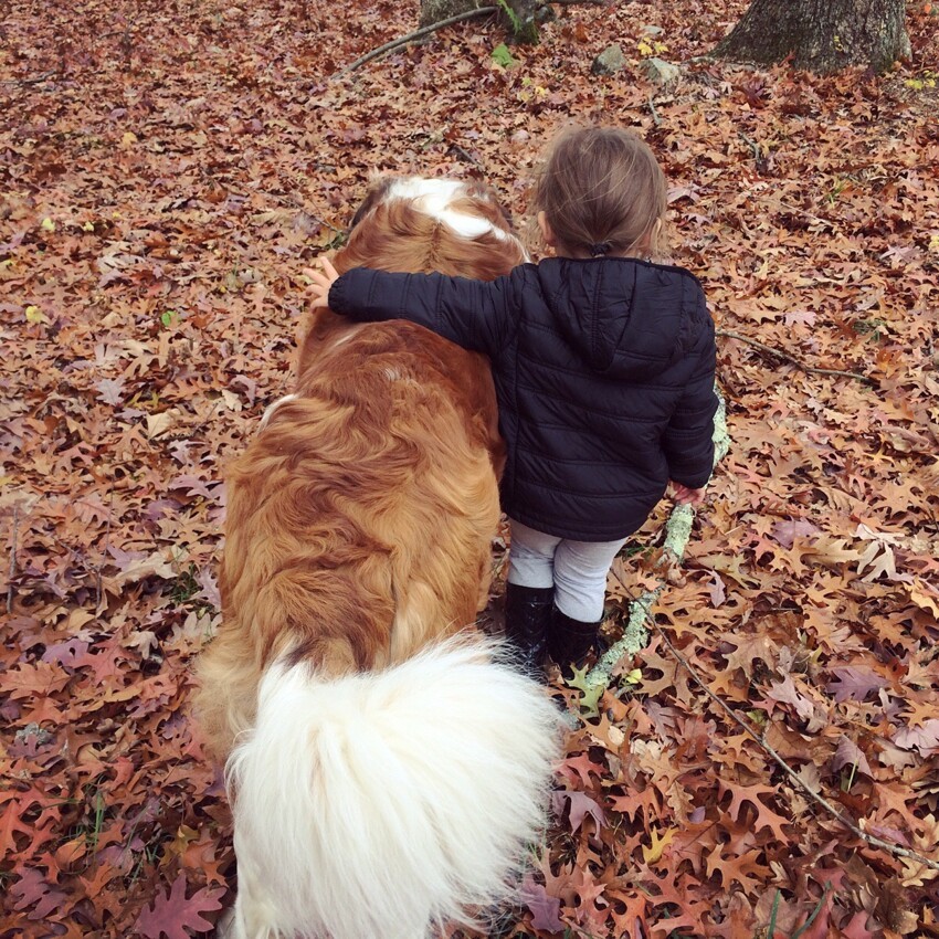 Девочка с собакой на прогулке