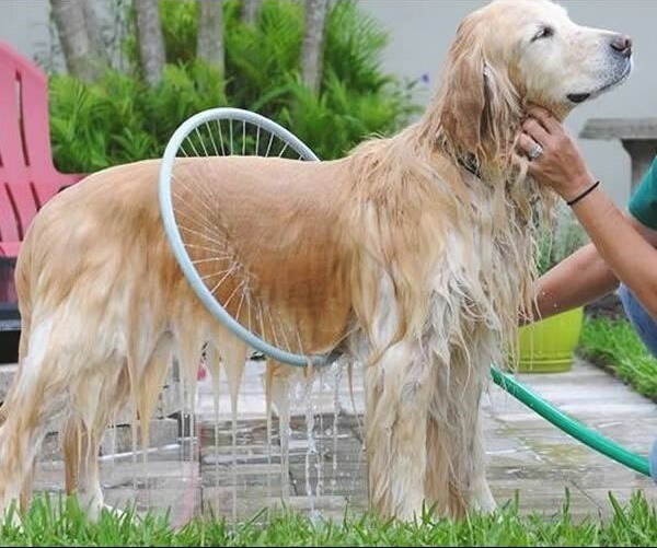 23. Круглый душ для собаки