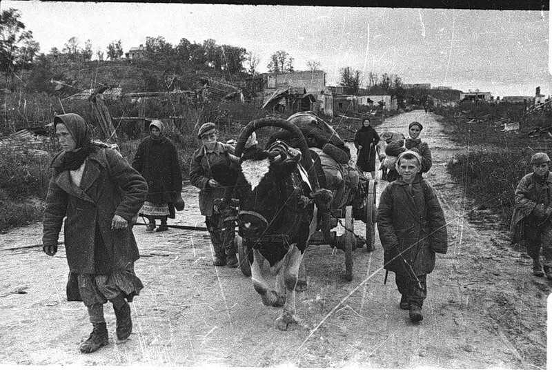 Военные фотографии Михаила Савина