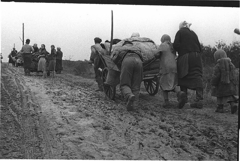 Военные фотографии Михаила Савина