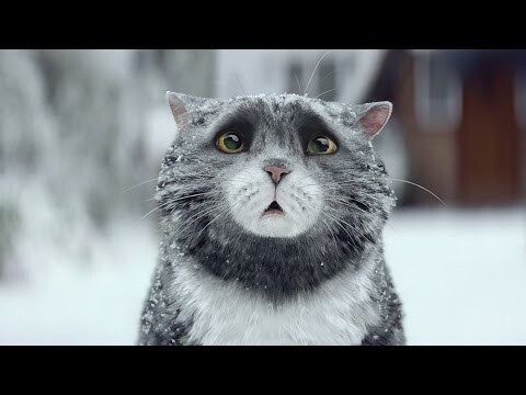 Рождественская история кота Томаса 