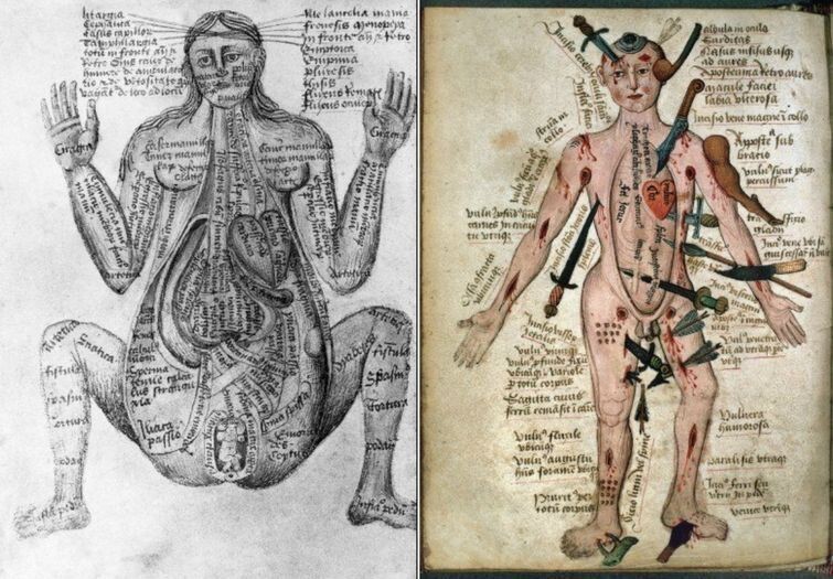 Иллюстрации человеческого тела XV век