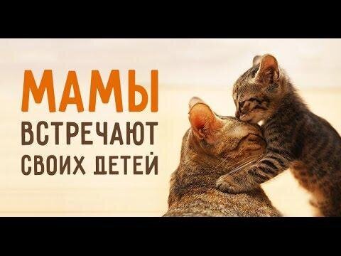 Мамы встречают своих детей