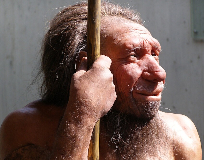 10. Мозг у неандертальца был больше, чем у нас.