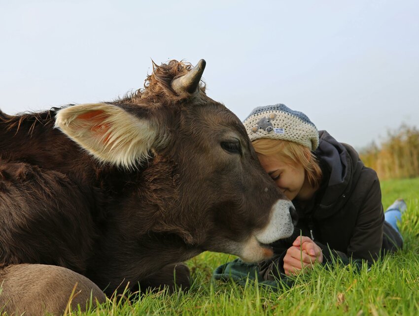 Девушка с любимой коровой