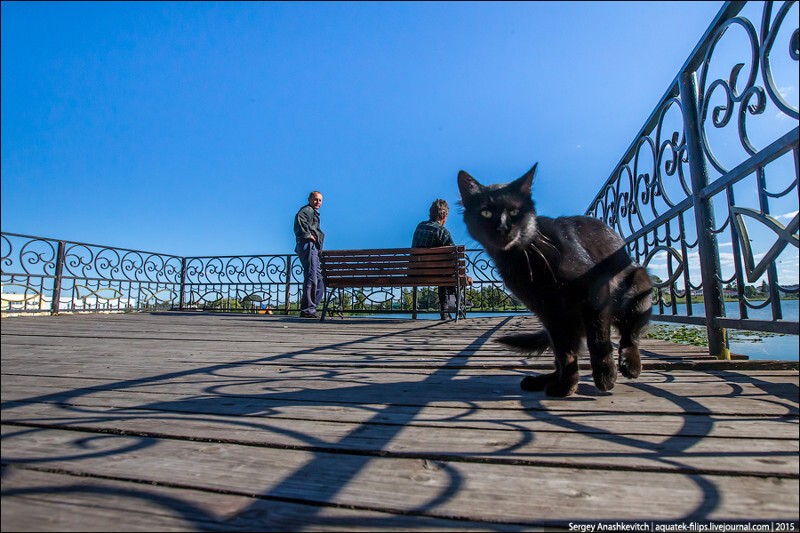 Как выглядит город, в котором мэр не ворюга