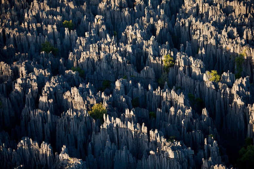 17. Каменный лес, Мадагаскар