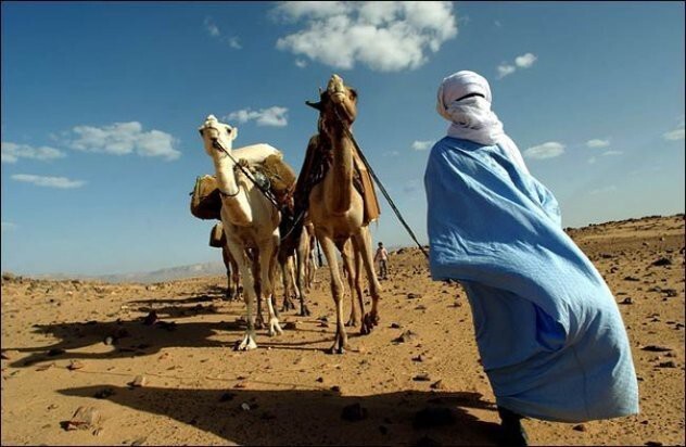 Народы мира. Синие люди пустыни - Туареги