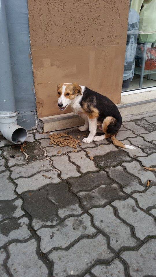 Наши судьбы пересеклись