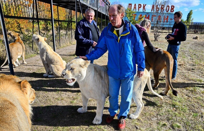 В обнимку со львами