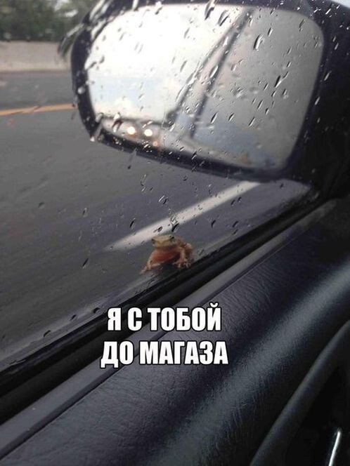 Автоприколы