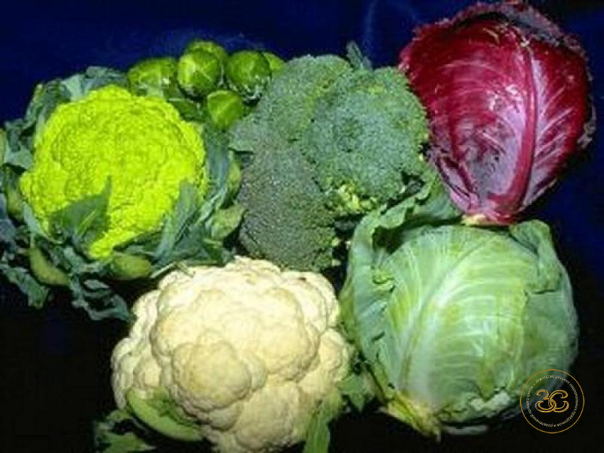 Капуста Брокколи, брюссельская и цветная капуста – одни из самых полезных продуктов питания, которые выводят из организма шлаки.