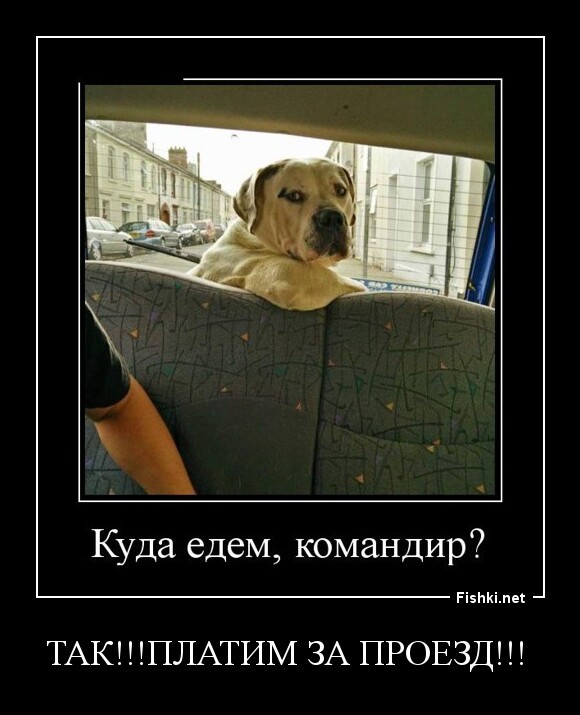 ТАК!!!ПЛАТИМ ЗА ПРОЕЗД!!! 