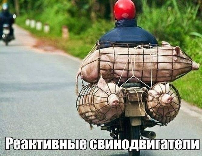 Автоприколы  