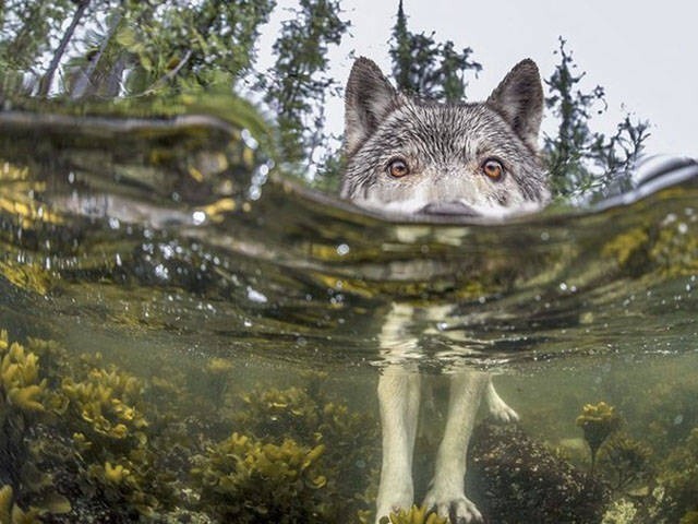 Фотографии, которые говорят больше чем слова