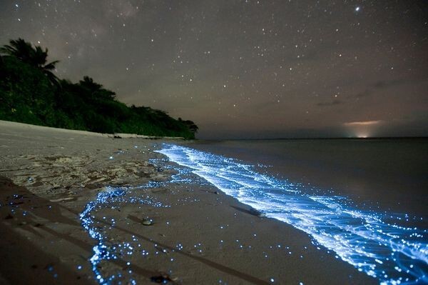 Фантастически красивый "звездный прибой" на атолле Ваадху, Мальдивские острова