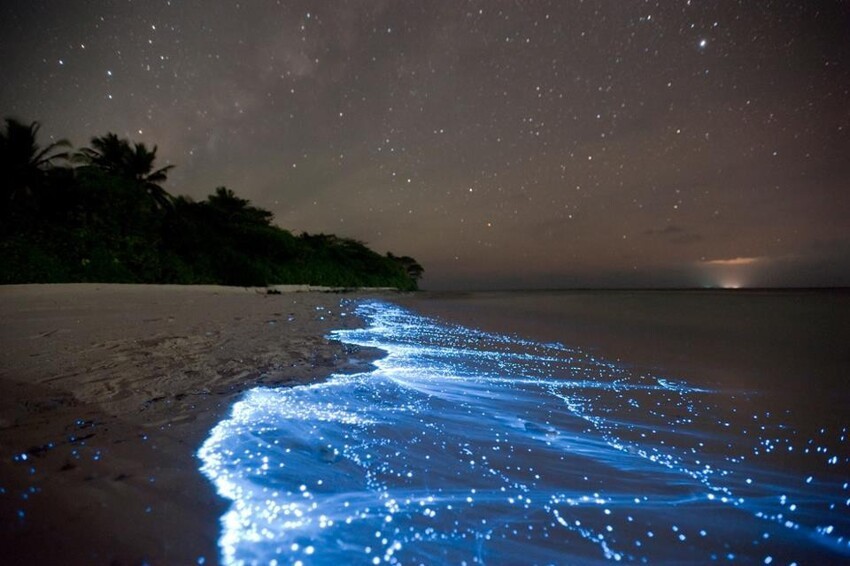 Фантастически красивый "звездный прибой" на атолле Ваадху, Мальдивские острова