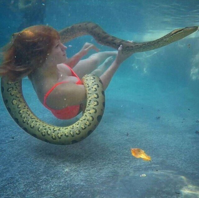 Плавание со змеей 