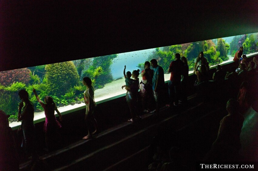 8. Лиссабонский океанариум в Португалии - самый большой аквариум в Европе