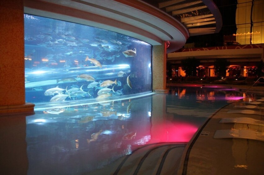 4. Аквариум с акулами в отеле и казино Golden Nugget