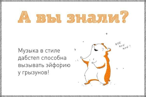 А вы знали?  