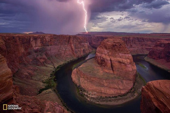 Лучшие фотографии, присланные в редакцию National Geographic, в этом году