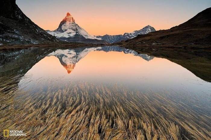 Лучшие фотографии, присланные в редакцию National Geographic, в этом году