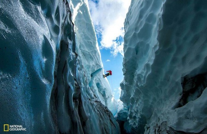 Лучшие фотографии, присланные в редакцию National Geographic, в этом году