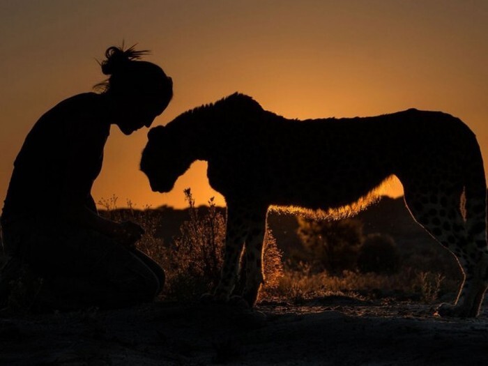 Лучшие фотографии, присланные в редакцию National Geographic, в этом году