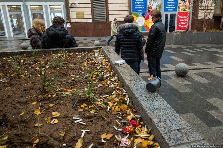 Свиньи, которые гадят в Москве 