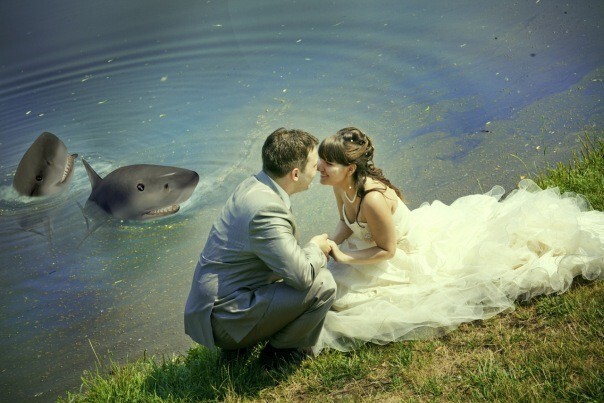 Безумие в чистом виде! 35 безумных свадебных снимков, после которых не захочешь замуж