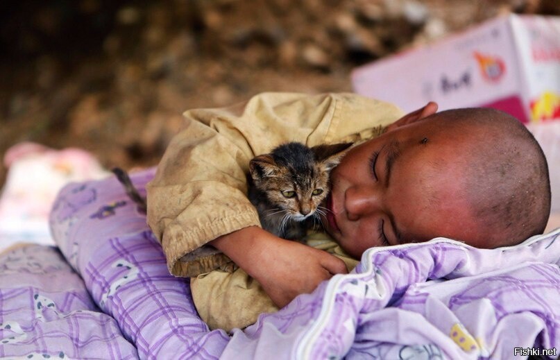 Ребёнок спит в приюте, обнимая котёнка, после землетрясения