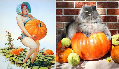 PinUp котики  