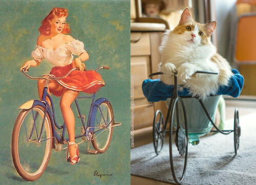 PinUp котики  