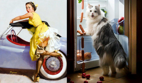 PinUp котики  