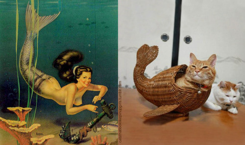 PinUp котики  
