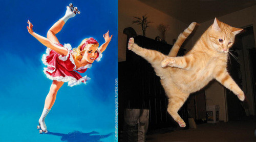 PinUp котики  