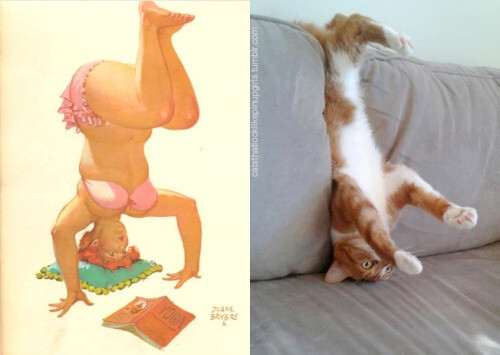 PinUp котики  