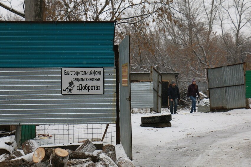 Вот такой приют организован в Уфе